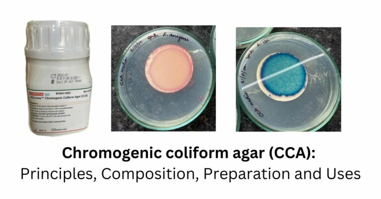 Chromogenic Coliform Agar (CCA): Principles, Composition, Preparation ...