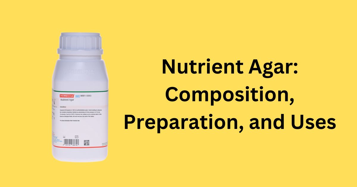 Nutrient Agar: Composition, Preparation, and Uses